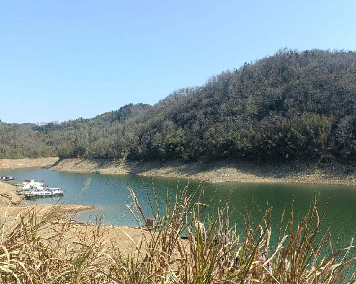 IMG_4648.jpeg