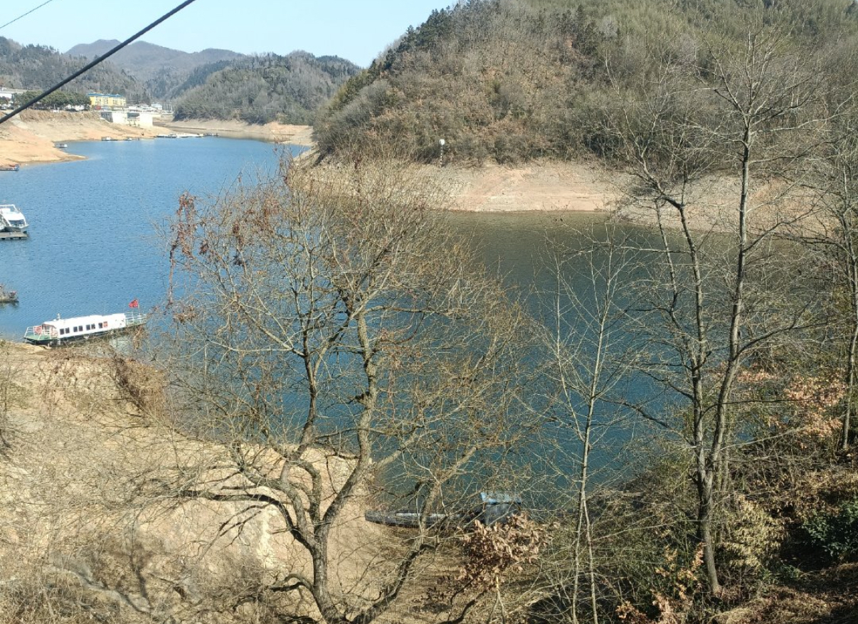 IMG_4650.jpeg