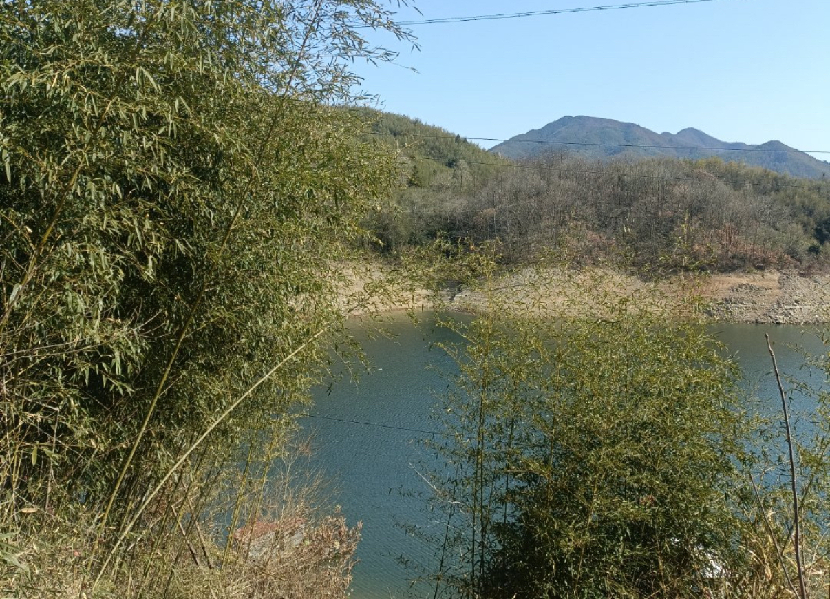 IMG_4649.jpeg