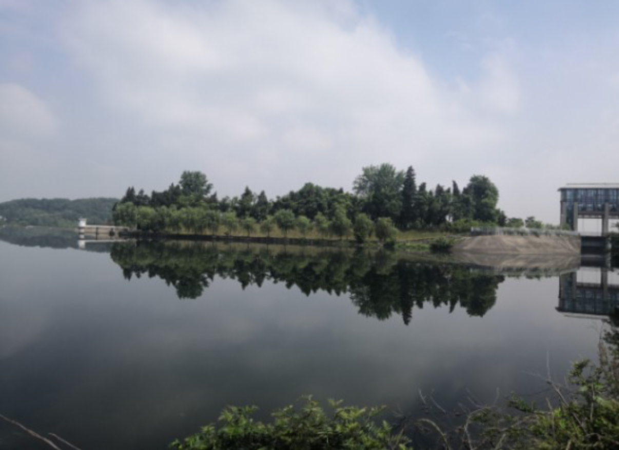 IMG_5345.jpeg